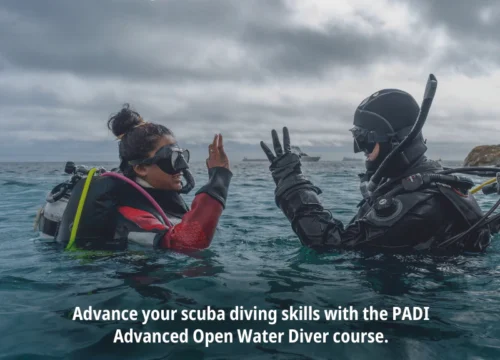 PADI Advanced Open Water Diver Course in Hurghada | Muji Tour