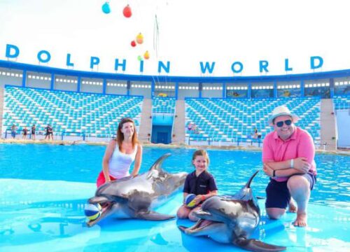 Dolphin Photo Experience in Makadi Bay | Professional Photos with Dolphins – Muji Tour