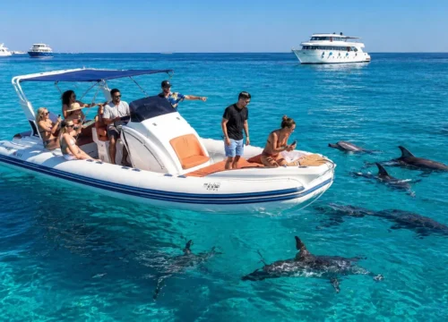 Private Speed Boat Dolphin Trip in Hurghada | Dolphin Watching & Snorkeling – Muji Tour