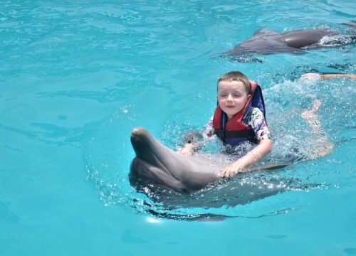 Swimming with Dolphins in Makadi Bay | Dolphin World – Muji Tour