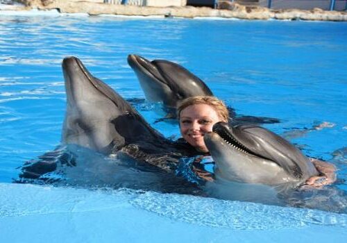 🐬 Swimming with Dolphins in Makadi Bay | Dolphin World – Muji Tour