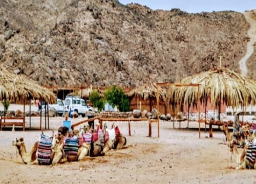 Super Desert Safari Hurghada | Ultimate Desert Adventure Experience