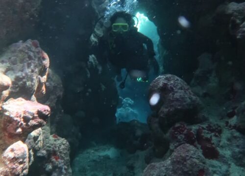 Daily Diving Packages Price List (1 to 10 Days)