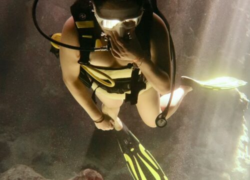 Luxury Dolphin & Cave Diving in Marsa Alam | Swim with Dolphins – Muji Tour