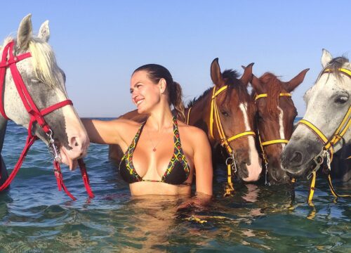 Horse Riding in Hurghada | Desert & Beach Horseback Riding – Muji Tour