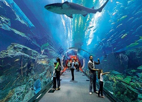Grand Aquarium Hurghada | 2-Hour Aquarium Experience – Muji Tour