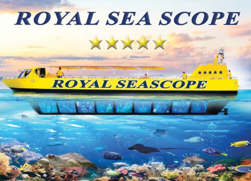 Royal Sea Scope in Hurghada | Semi-Submarine Red Sea Experience – Muji Tour