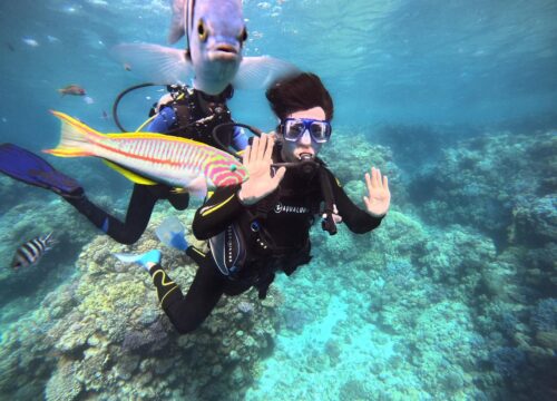 Discover Scuba Diving in Hurghada – Daily Boat Trip & Intro Dives